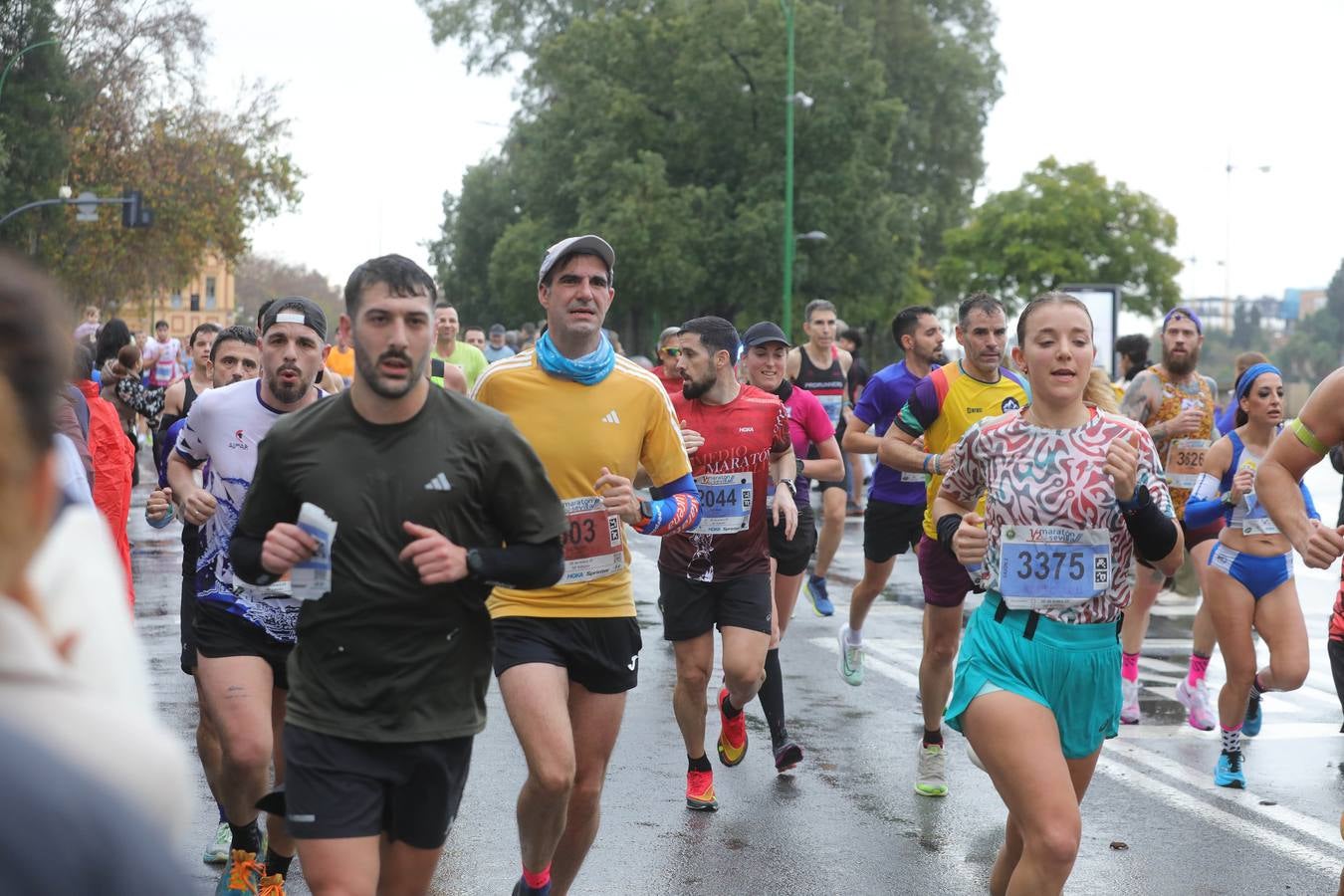 Media Maratón de Sevilla 2025