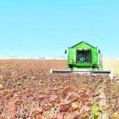 La solicitud de la PAC 2025: plazos, novedades y desafíos para los agricultores