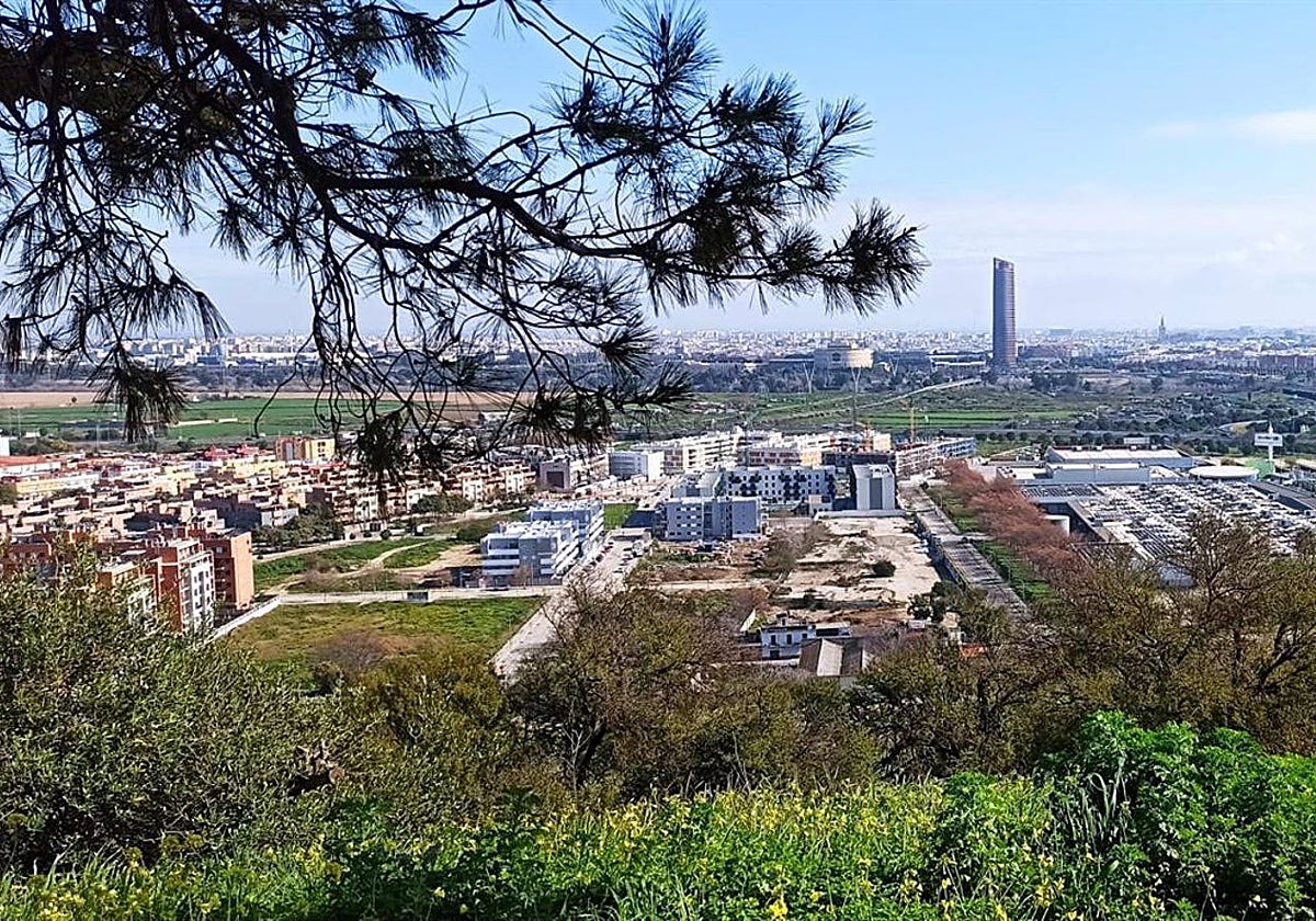 Vistas de Sevilla desde la cornisa de Camas