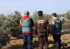 Detenida en Sevilla una pareja nicaragüense en situación irregular por explotar en el campo a otros inmigrantes