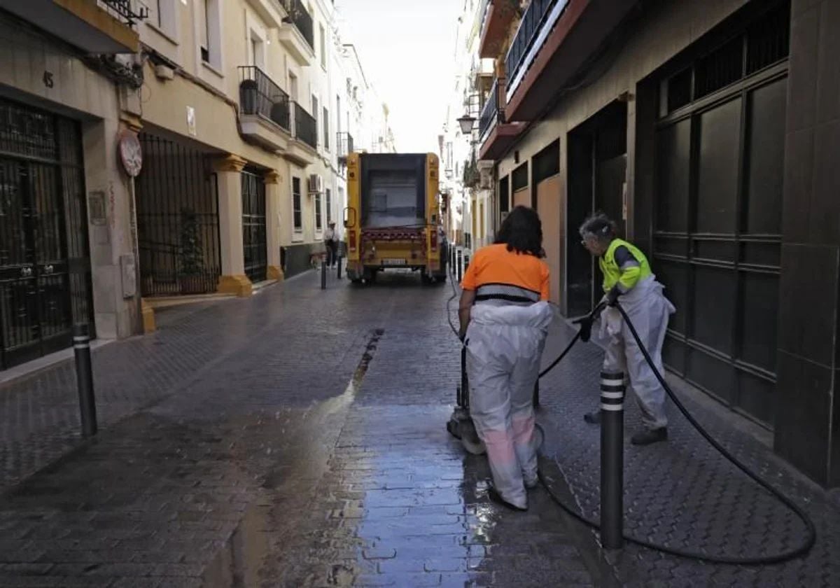 Los candidatos deberán reunir los requisitos establecidos en las bases generales de los procesos selectivos del Ayuntamiento de Sevilla