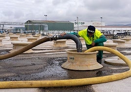 Dcoop obtiene el mejor resultado de facturación de su historia tras superar los 1.550 millones de euros