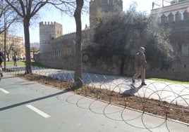 Revitalizan los parterres de la calle Muñoz León tras una inversión municipal de 71.000 euros