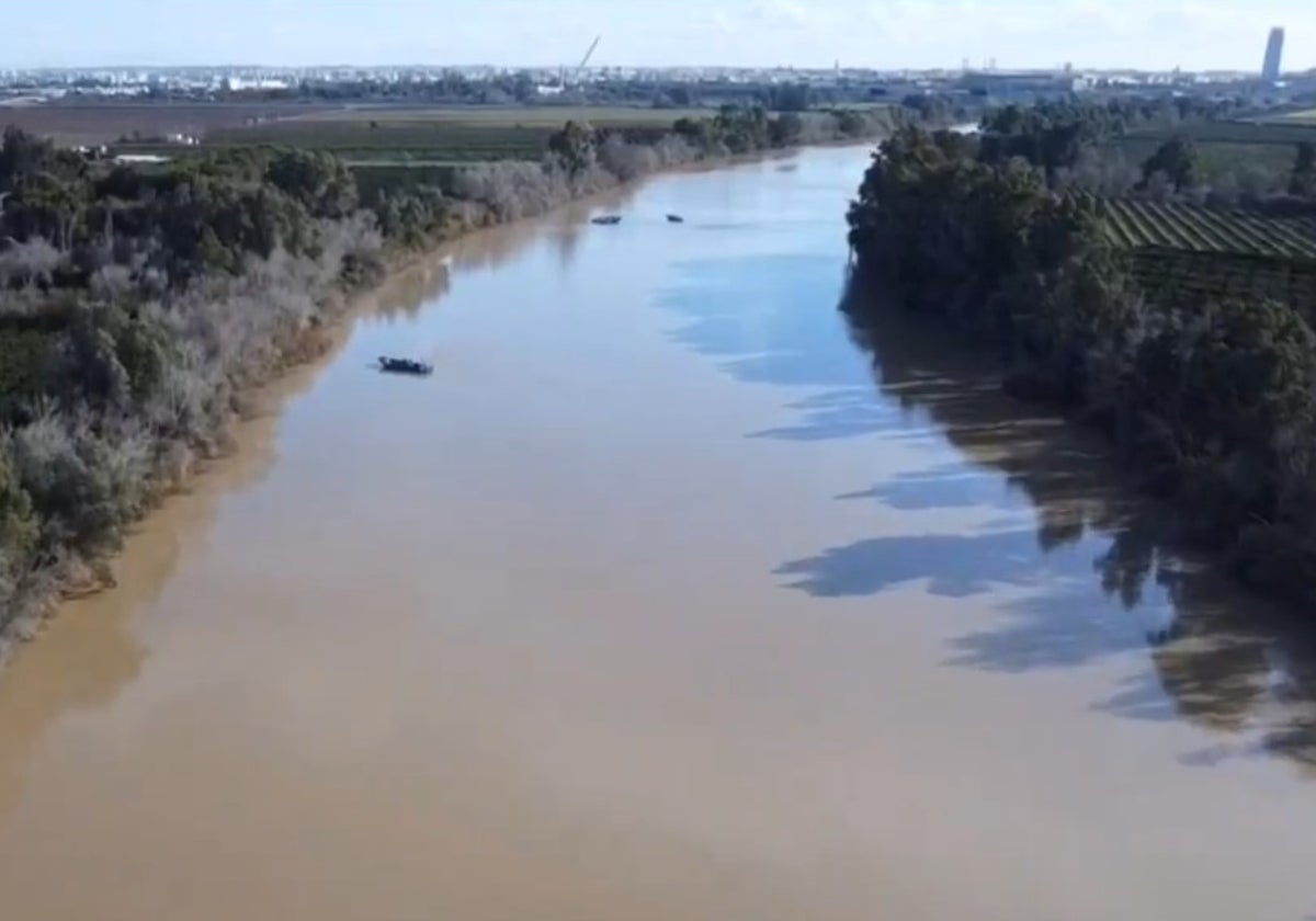 Las narcholanchas se pasean por el río Guadalquivir a la altura de La Algaba