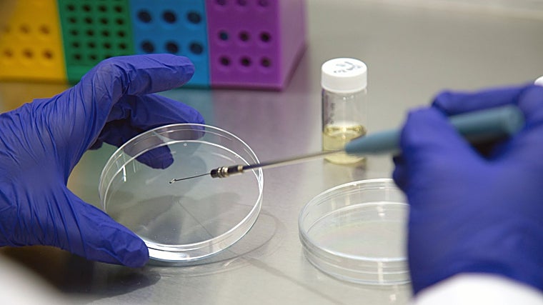 Bioplagen compra una empresa en el Caribe y salta al negocio de las mascotas