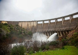 Los embalses de Sevilla siguen acumulando agua y se sitúan a un 75% de su capacidad