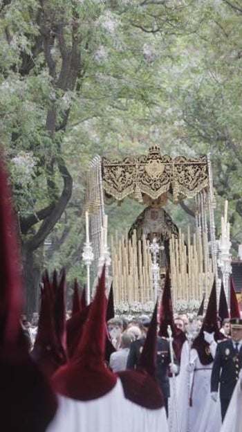 La Virgen de los Dolores, en su palio por Afán de Ribera