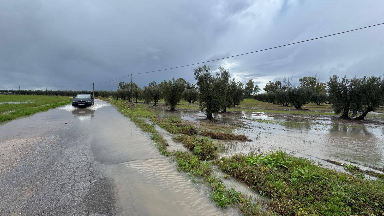 En la zona de Llano Verde (Arahal) hay varias urbanizaciones con más de un centenar de vecinos