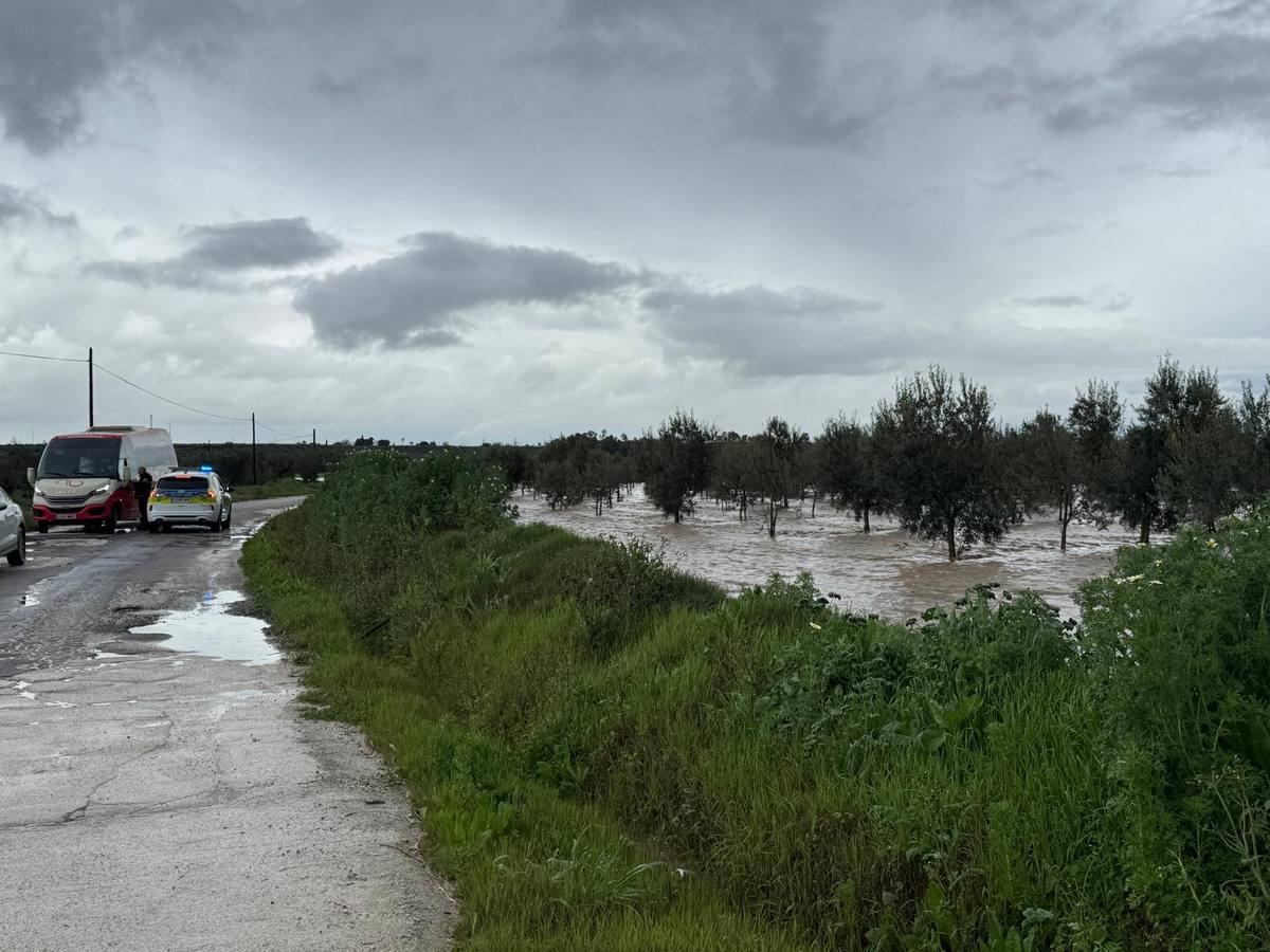 En la zona de Llano Verde (Arahal) hay varias urbanizaciones con más de un centenar de vecinos