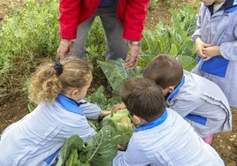 El Colegio SAFA Patronato Vereda de Sevilla: una década cultivando valores