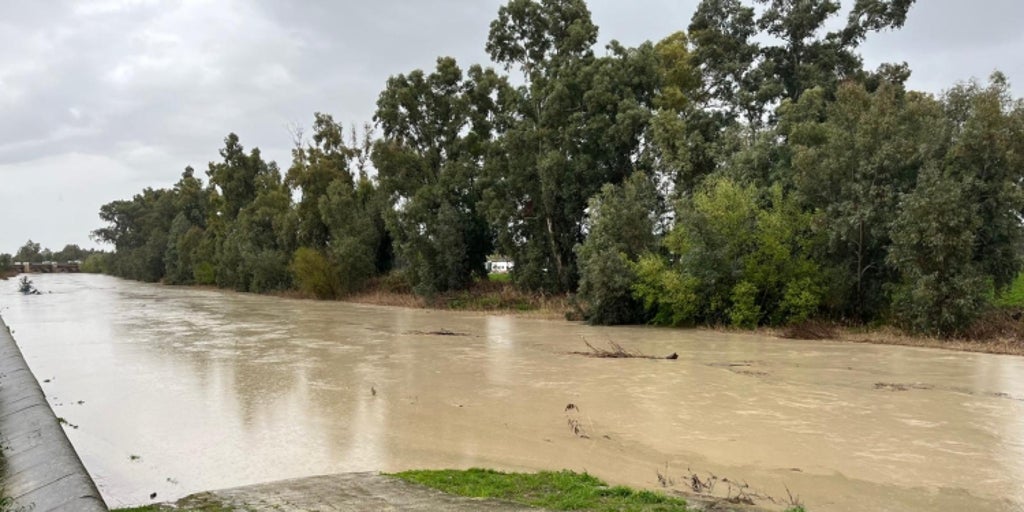 El río Genil supera los 4 metros a su paso por Écija y se decreta alerta naranja