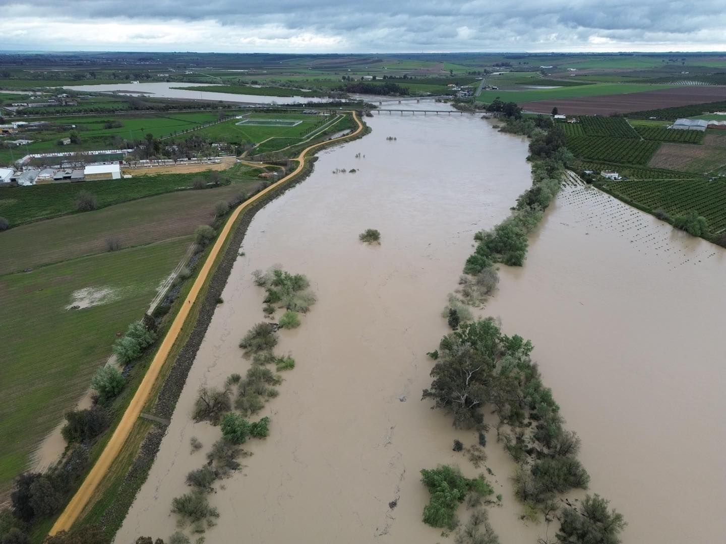 Crecida del río Guadalquivir a su paso por Lora del Río, en imágenes