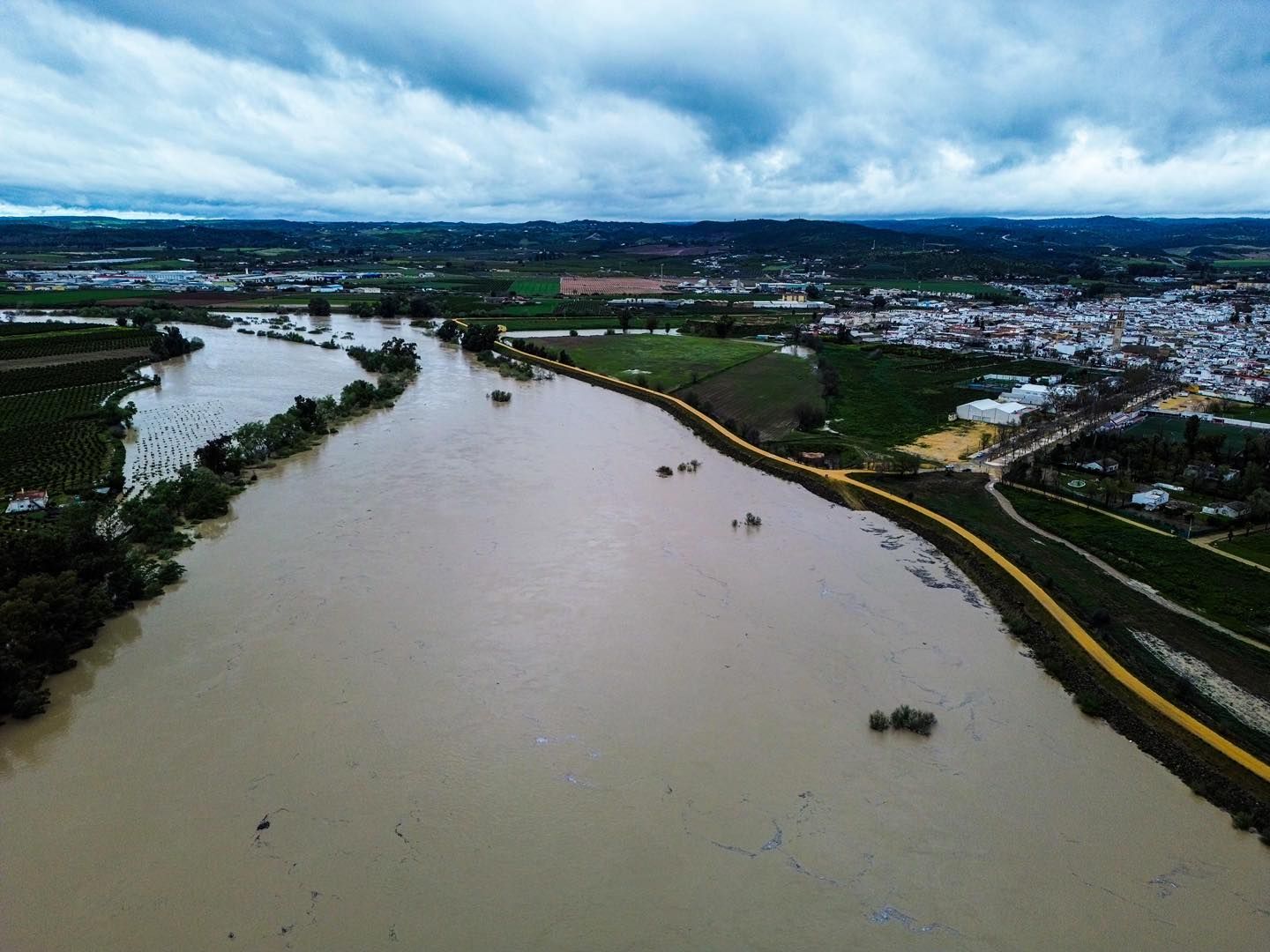 Crecida del río Guadalquivir a su paso por Lora del Río, en imágenes
