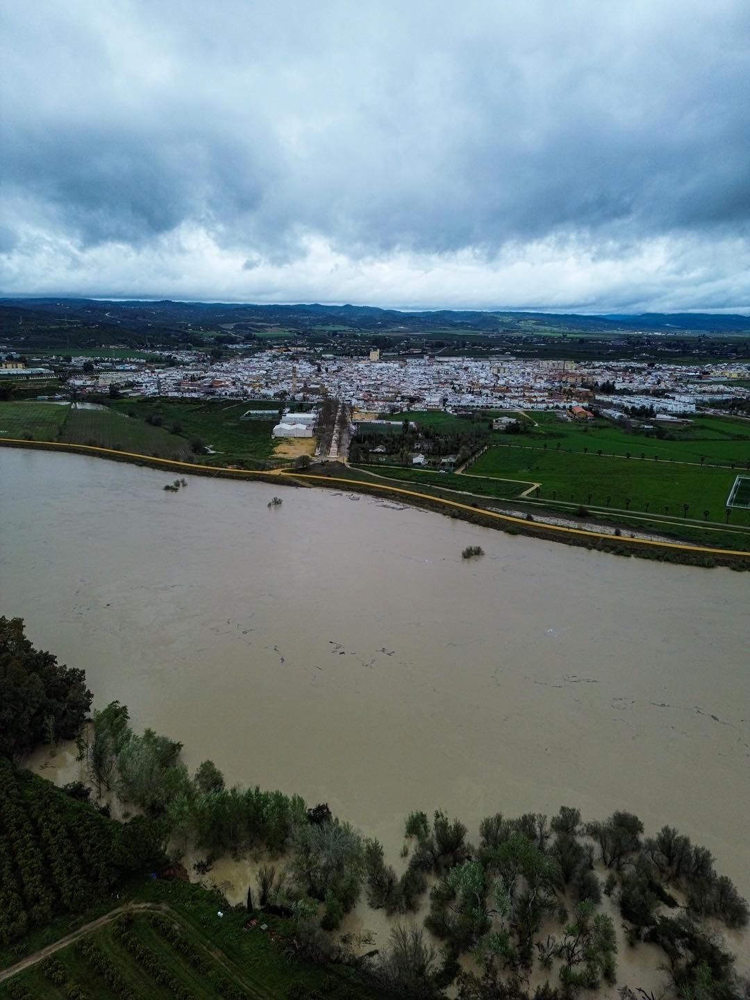 Crecida del río Guadalquivir a su paso por Lora del Río, en imágenes