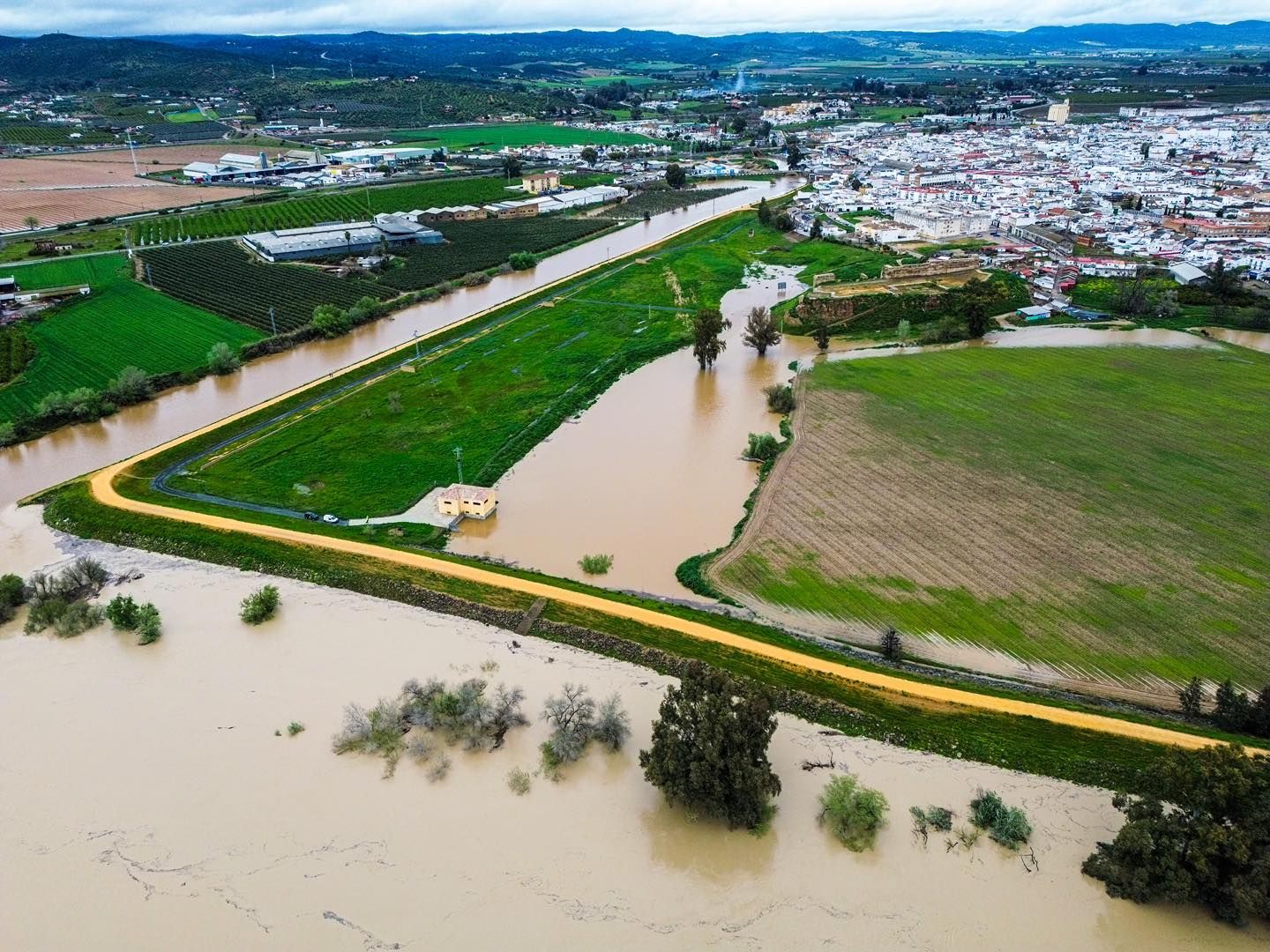 Crecida del río Guadalquivir a su paso por Lora del Río, en imágenes