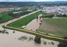 El Guadalquivir alcanza el nivel rojo a su paso por Lora del Río