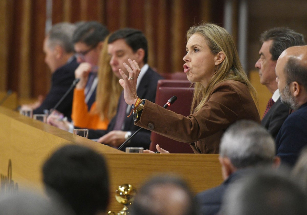 La portavoz de Vox en el Ayuntamiento de Sevilla, Cristina Peláez, durante el Pleno