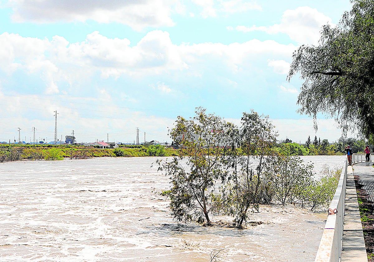 Tramo del río Guadalquivir cercano a Alcalá del Río