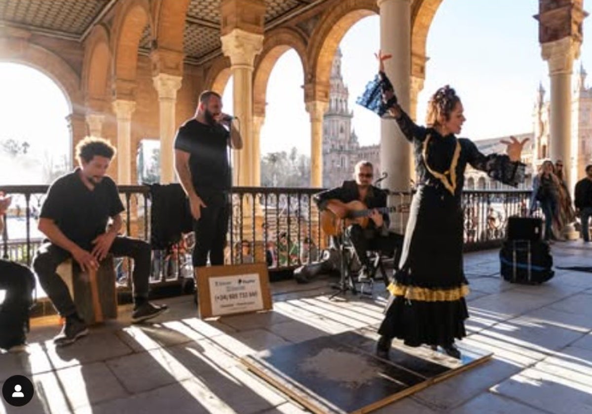 Artistas pertenecientes al colectivo Flamenco Viva Sevilla