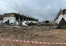 Coria del Río y Dos Hermanas decretan días de luto por la muerte de los tres trabajadores al derrumbarse una nave