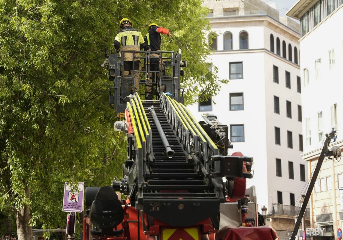 Una dotación de Bombero actuó de urgencia este Domingo de Ramos en la Plaza del Duque