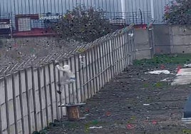 Cae una organización que robaba cobre en plantas fotovoltaicas y naves de pueblos de Sevilla
