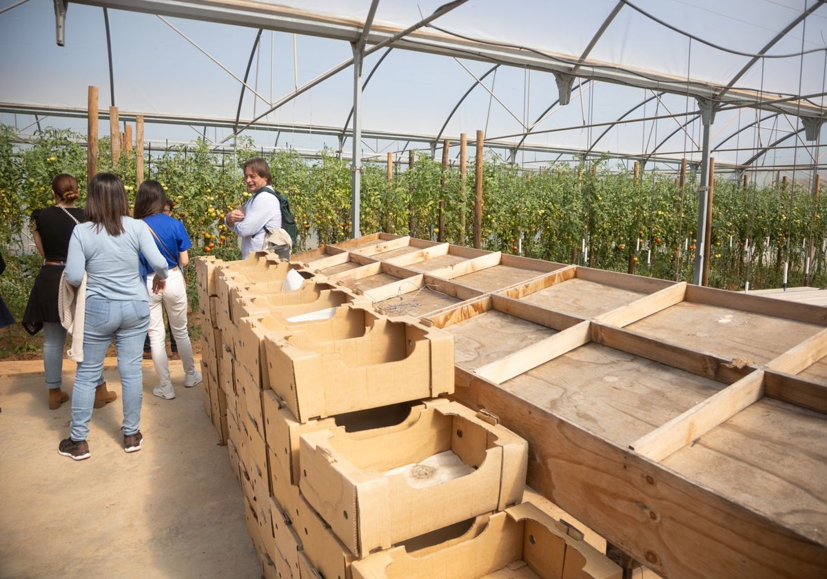Empresa Bioalverde, en Dos Hermanas