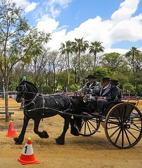 Imagen secundaria 2 - Enganches por el Prado de San Sebastián 