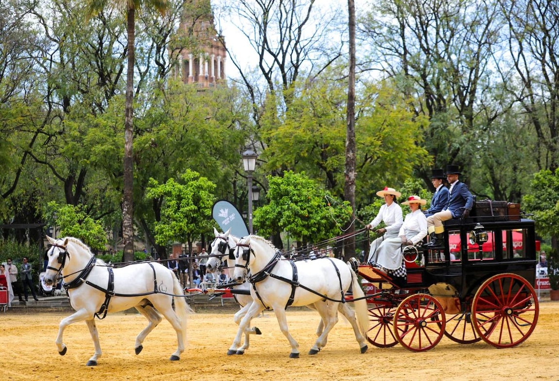 Paseo de los enganches por El Prado, San Telmo y la Plaza de España