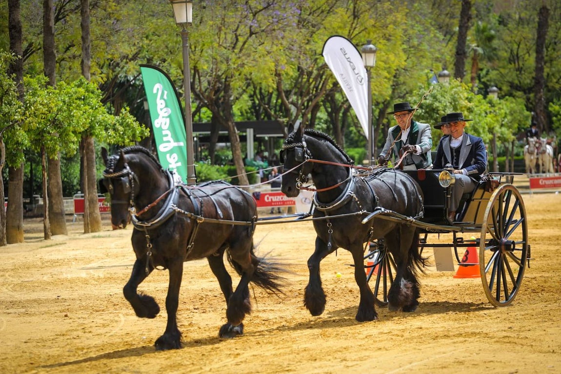 Paseo de los enganches por El Prado, San Telmo y la Plaza de España