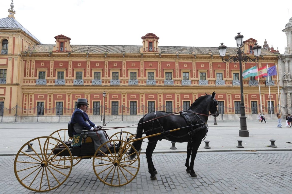 Paseo de los enganches por El Prado, San Telmo y la Plaza de España