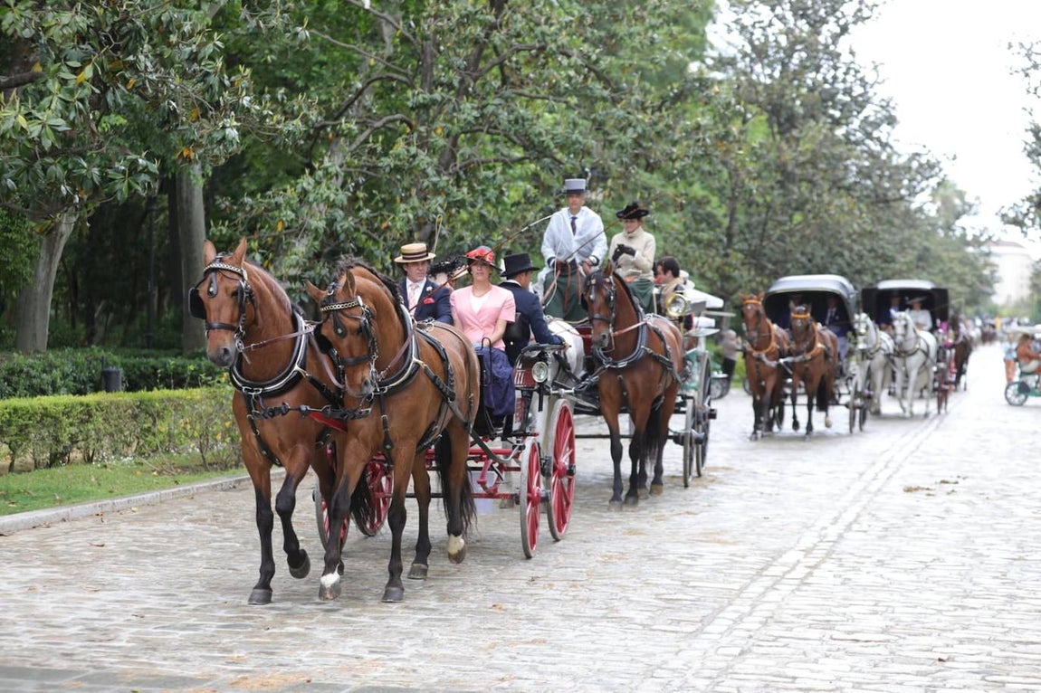 Paseo de los enganches por El Prado, San Telmo y la Plaza de España