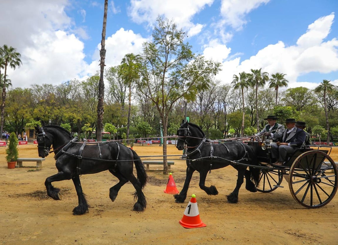 Paseo de los enganches por El Prado, San Telmo y la Plaza de España