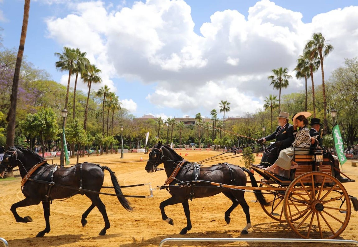 Paseo de los enganches por El Prado, San Telmo y la Plaza de España