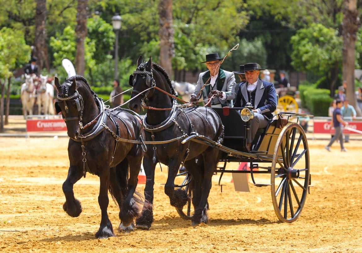 Paseo de los enganches por El Prado, San Telmo y la Plaza de España