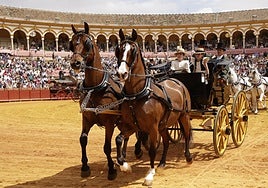 En imágenes, la Exhibición de Enganches en la Maestranza, un museo al aire libre