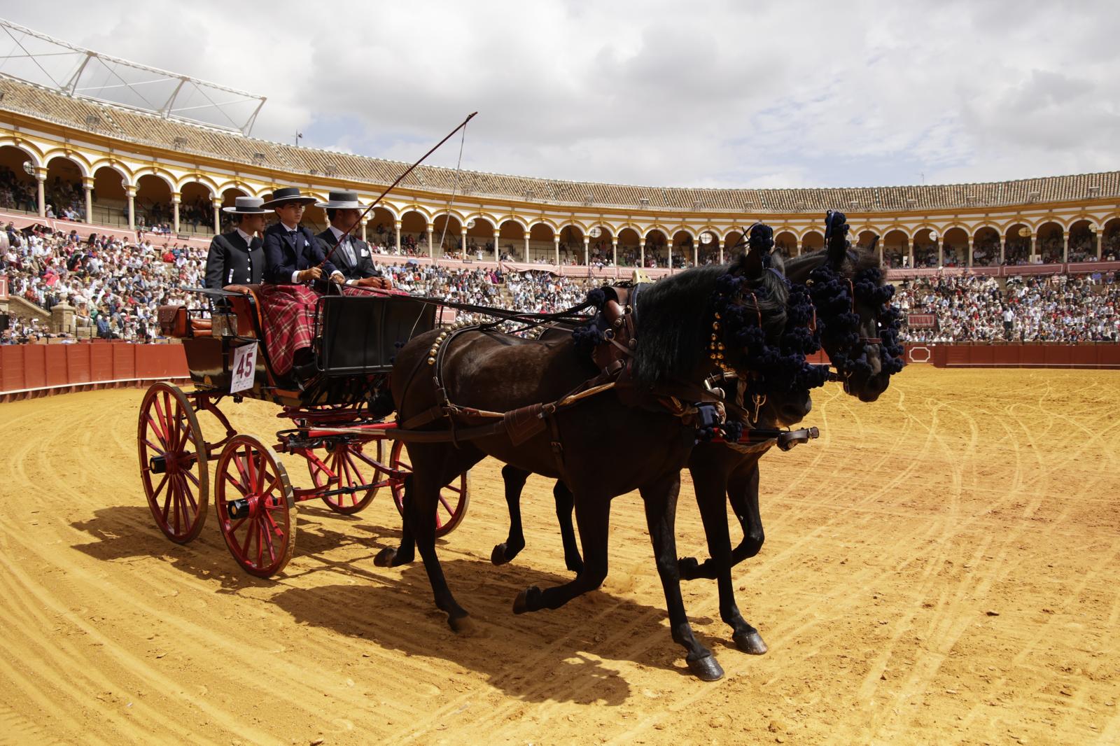 En imágenes, la Exhibición de Enganches en la Maestranza, un museo al aire libre