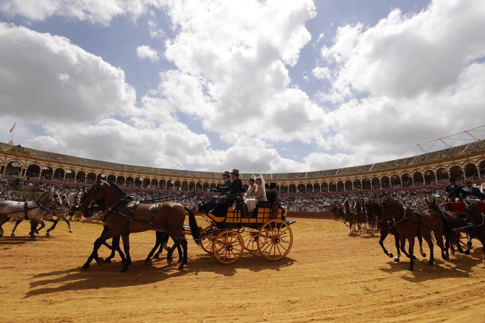 En imágenes, la Exhibición de Enganches en la Maestranza, un museo al aire libre