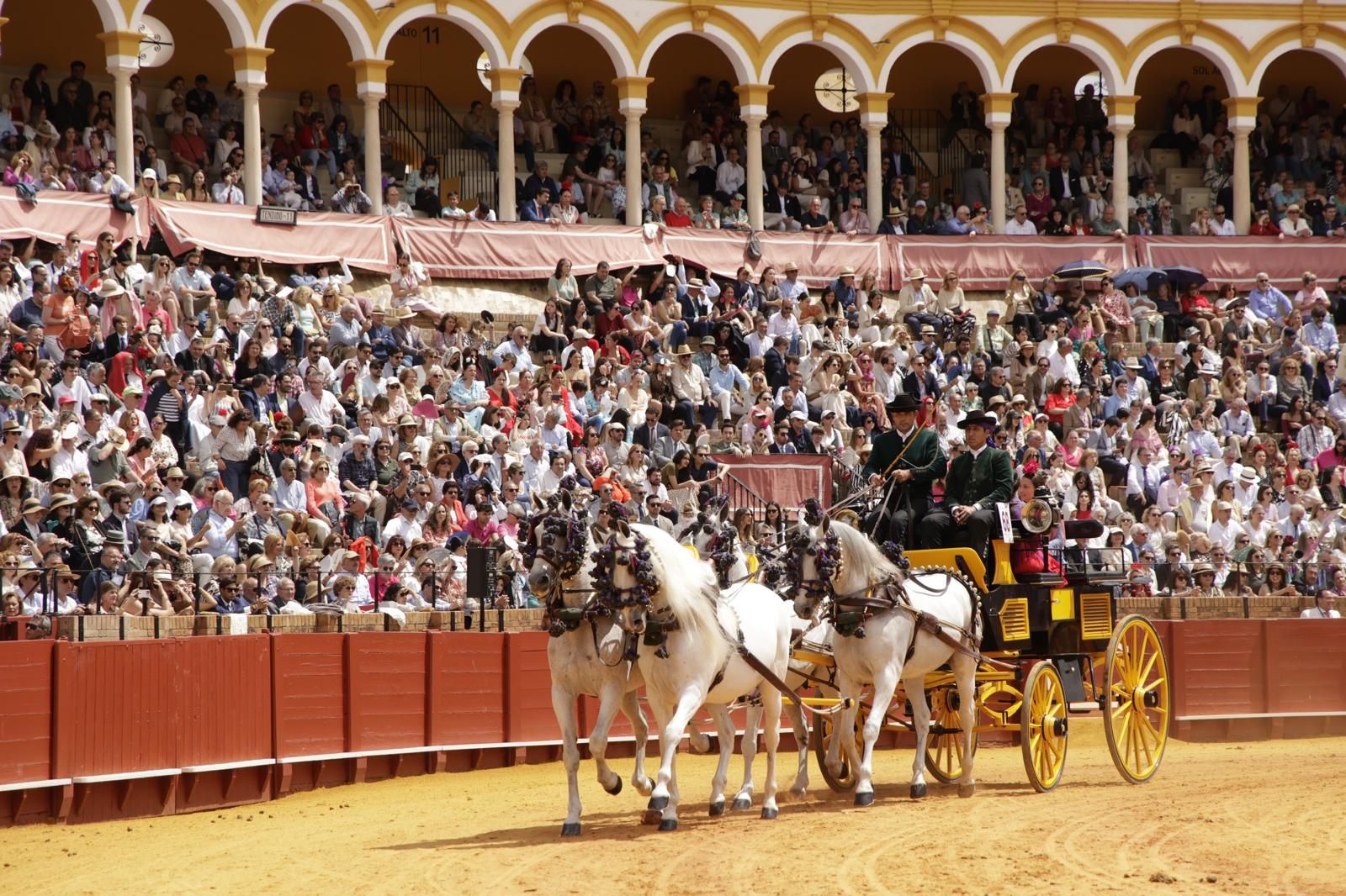 En imágenes, la Exhibición de Enganches en la Maestranza, un museo al aire libre