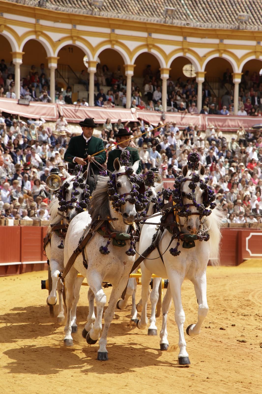 En imágenes, la Exhibición de Enganches en la Maestranza, un museo al aire libre