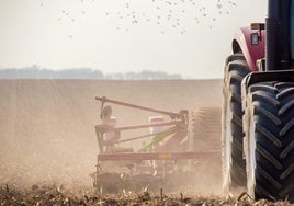 Muere un trabajador atropellado por el arado de un tractor en un cortijo de Osuna