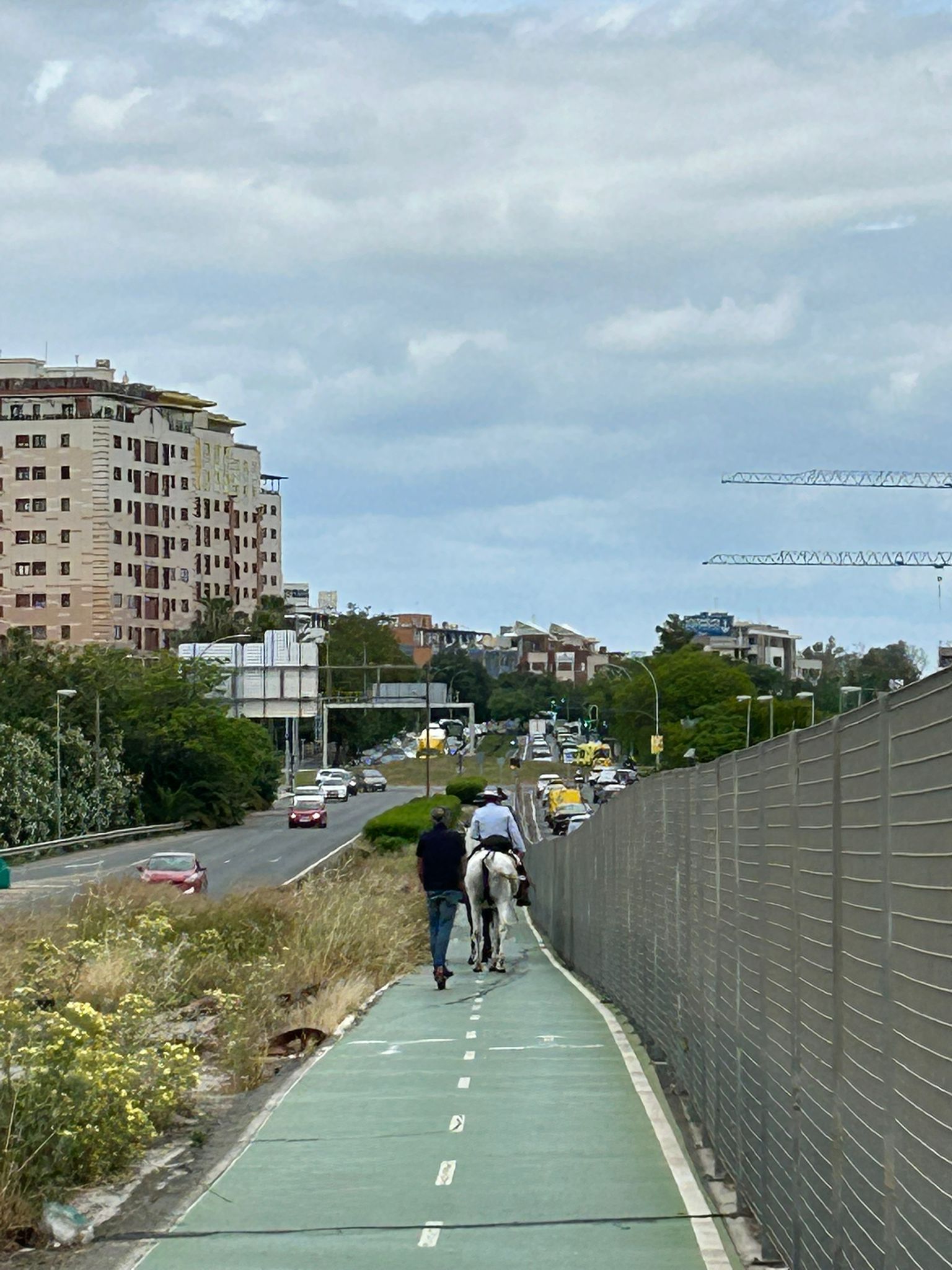 La polémica de un un jinete con su caballo paseando por el carril bici de camino a la Feria de Sevilla