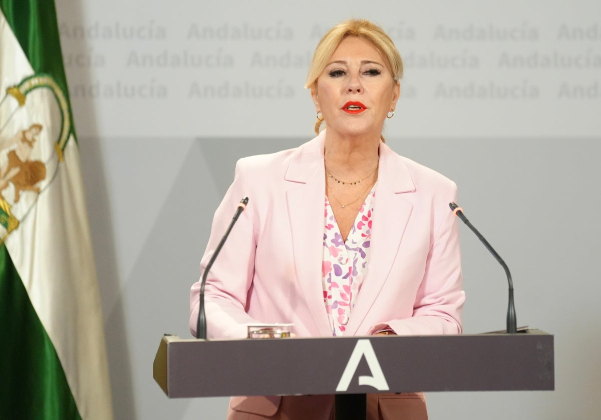 La consejera de Economía y Hacienda, Carolina España, durante una comparecencia