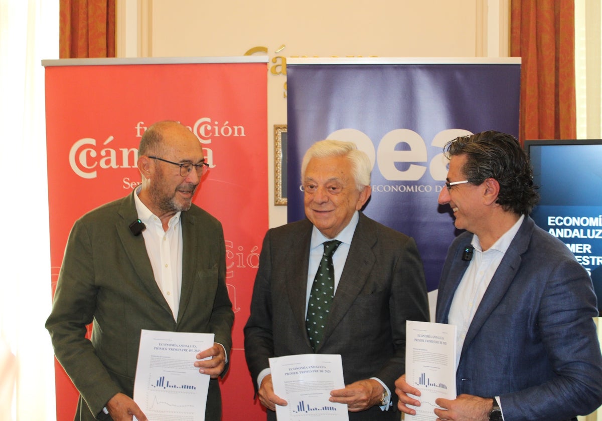 Francisco Ferraro, Francisco Herrero y Manuel Hidalgo durante la presentación del informe