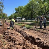 La delegada de Parques y Jardines, Evelia Rincón, supervisa el avance de los trabajos en Sevilla Este