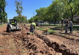 El Ayuntamiento transforma una parcela abandonada de Sevilla Este en una zona verde con más de 70 árboles