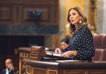La diputada de Vox en el Congreso por Sevilla, Reyes Romero