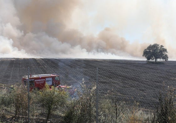 Columna de humo provocada por el incendio de restos de poda