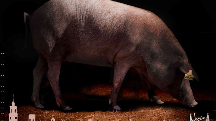 Constantina inaugura este jueves Ganatur, la muestra ganadera, agroalimentaria y turística de la Sierra Norte de Sevilla