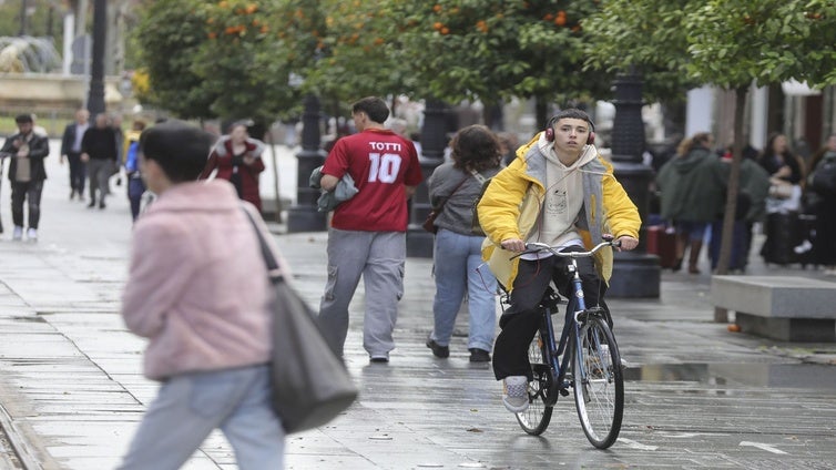 José Luis Sanz quiere eliminar el carril bici de la Avenida de la Constitución de Sevilla